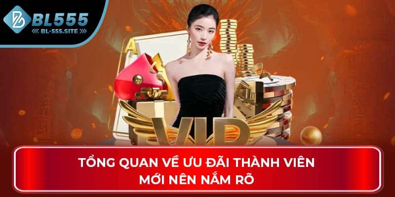 Tổng quan về ưu đãi thành viên mới nên nắm rõ