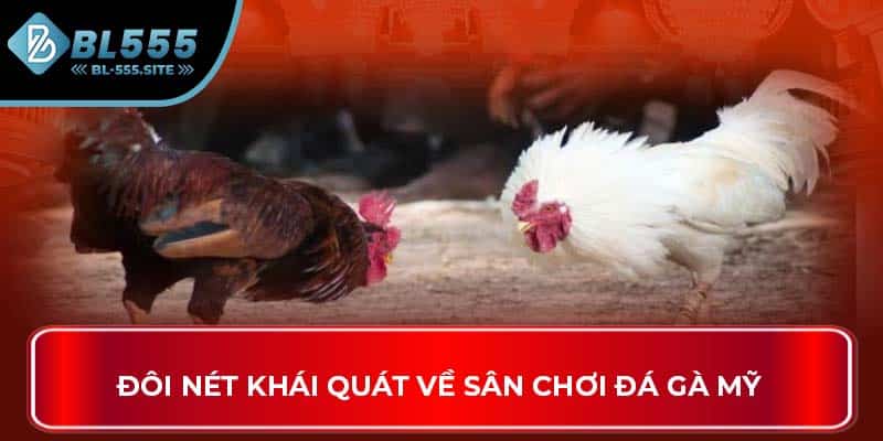 Đôi nét khái quát về sân chơi đá gà Mỹ