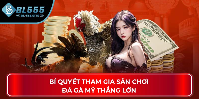 Bí quyết tham gia sân chơi đá gà Mỹ thắng lớn