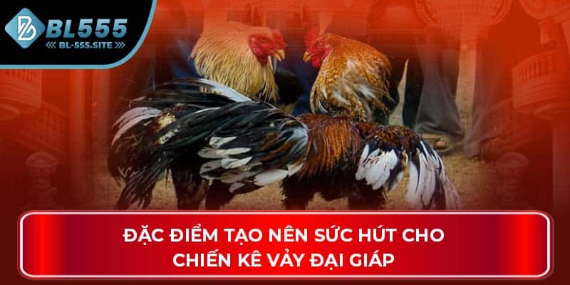 Đặc điểm tạo nên sức hút cho chiến kê Vảy Đại Giáp